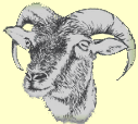logo for soay sheep society