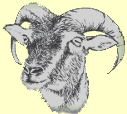 Soay and Boray Sheep association logo